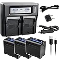 Kastar 3 Pack Battery and LCD Dual Fast Charger for Sony NP-F980 Pro NP-F970 LED Video Light CN-126 CN-160 CN-216 CN-304 VL600 YN300 and Other LED