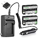 Kastar 2X Battery + Charger for Sony NP-FS11 NP-F10 NP-FS10 NP-FS12 FS31 DCD-CR1 CCD-CR5 DCR-PC1 DCR-PC2 DCR-PC3 DCR-PC4 DCR-PC5 DCR-TRV1VE Cybershot