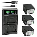 Kastar 3-Pack Battery NP-FV100 and LTD2 USB Charger Compatible with Sony NP-FV30 NP-FV40 NP-FV50 NP-FV70 NP-FV70A NP-FV90 NP-FV100 Battery, Sony