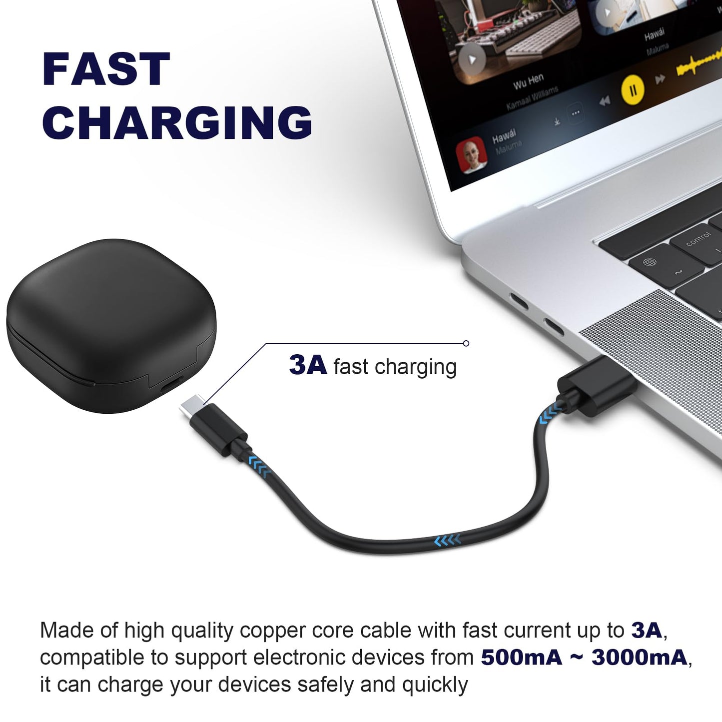 USB C Charging Cable Compatible with Beats Powerbeats Pro 2, Solo 4, Solo Buds, Fit Pro, Flex, Studio Pro, Studio Buds Headphones (9.84in)