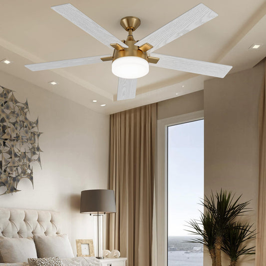 DWVO 52 Inch Smart Ceiling Fans with Lights