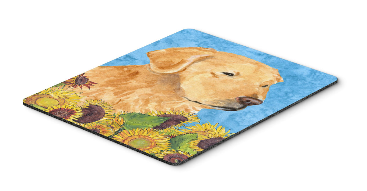 Caroline's Treasures SS4109MP Golden Retriever in Summer Flowers Mouse Pad, Hot Pad or Trivet for Home Office Gaming Working Computers Laptop Mouse