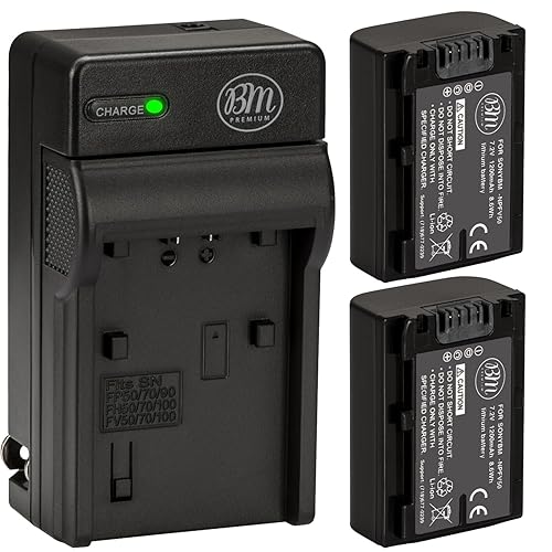 Big Mike's BM Premium Pack of 2 NP-FV50 Batteries for Sony HDR-PJ200 HDR-PJ260V HDR-PJ580V Handycam Camcorder + More!!
