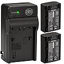 BM Premium Pack of 2 NP-FV50 Batteries and Battery Charger for Sony FDR-AX53, HDR-CX675/B, HDR-CX455/B, HDR-CX330, HDR-CX380, HDR-CX430V, HDR-CX900