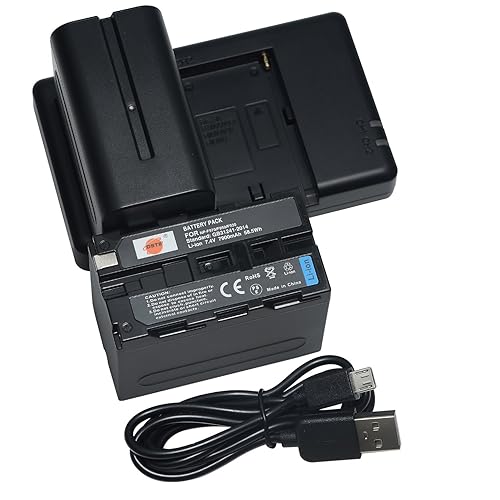 DSTE (2 Pack) NP-F970 Battery + Rapid Dual Battery Charger Compatible with Sony DCM-M1 MVC-CD1000 HDR-FX1 DCR-VX2100E DSR-PD190P HXR-NX3 NP-F930