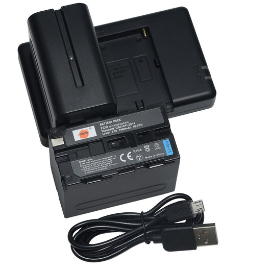 DSTE (2 Pack) NP-F970 Battery + Rapid Dual Battery Charger Compatible with Sony DCM-M1 MVC-CD1000 HDR-FX1 DCR-VX2100E DSR-PD190P HXR-NX3 NP-F930