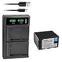 Kastar 1-Pack Battery and LTD2 USB Charger Compatible with JVC GY-HC500 GY-HC500E, GY-HC500U GY-HC500UN, GY-HC500SPC GY-HC500SPCN, GY-HC550 GY-HC550E