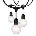 Satco S8034 LED Indoor/Outdoor String Lights, Black, G25 Bulbs, 24 Feet (Pack of 1)