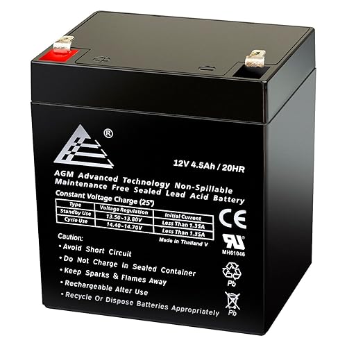 12V 4.5Ah Sealed Lead Acid Battery ECI Power