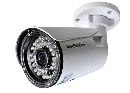 BlueFishCam Outdoor-Indoor Lens 3.6mm CMOS 1000TVL Camera CCTV Camera Surveillance Analog Waterproof Security System Motion Detective
