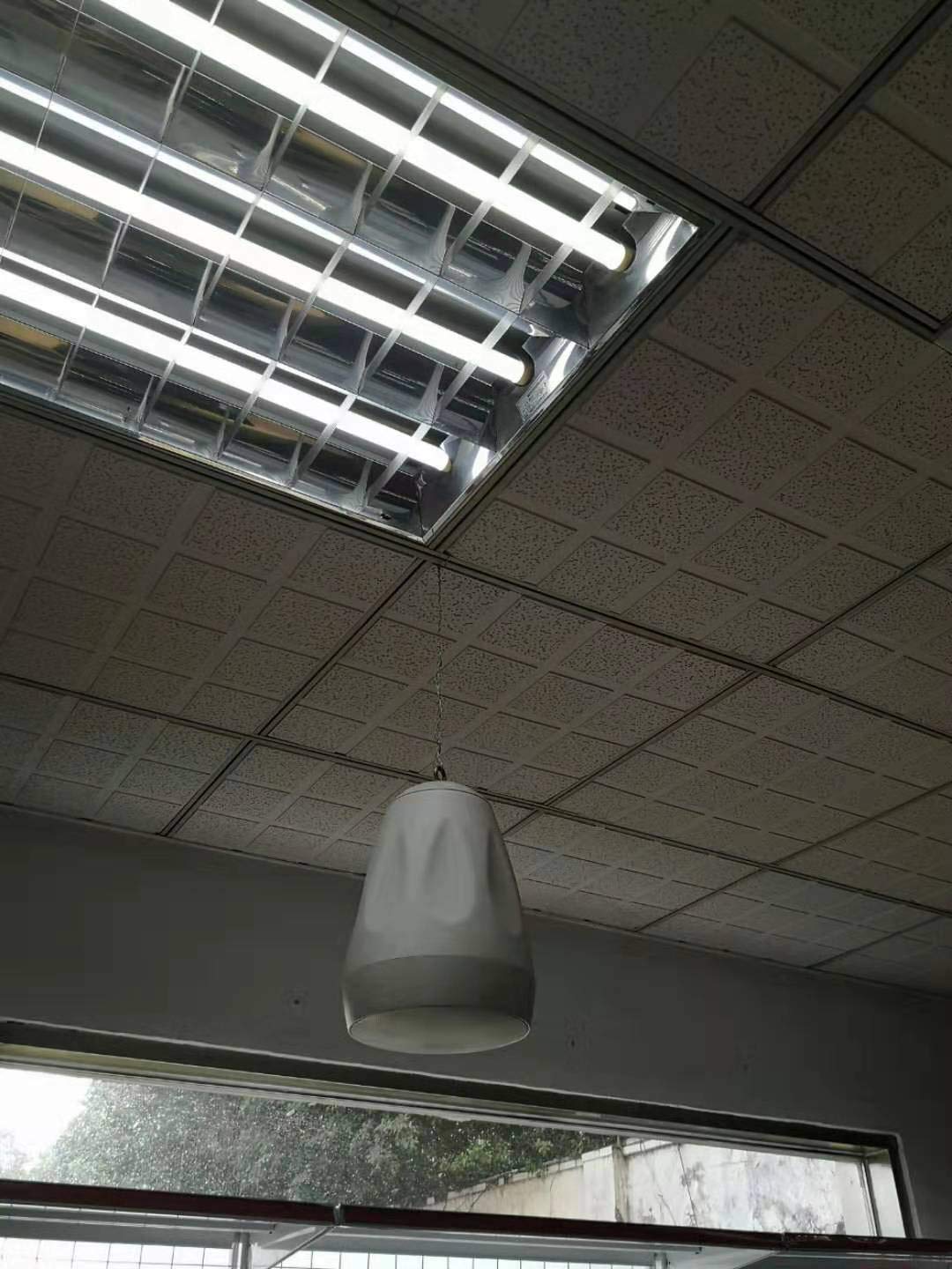 Speaker Safety Stainless Steel Cable?Safety Wire Rope for Ceiling Speaker Mounted Ceiling or on The Wall,Add Security,for Hanging Light,Lock