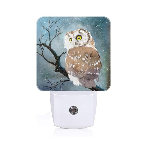FSHVQKD Winter Snow Cute Night Light,Plug Into Wall with Dusk to Dawn Light Sensors, Warm Nightlights for Bedroom, Bathroom, Hallway, Kitchen, Gifts