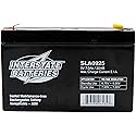 Interstate Batteries 6V 7Ah Battery (F1 Terminal) SLA AGM VRLA Rechargeable Replacement for Electric Fences, UPS Backup Systems, Solar, Medical…