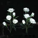 Solar Garden Rose Lights, Decorman 2 Pack Realistic Solar Outdoor Flower Lights Waterproof LED Stake Landscape Decorative Lights with 10 Roses