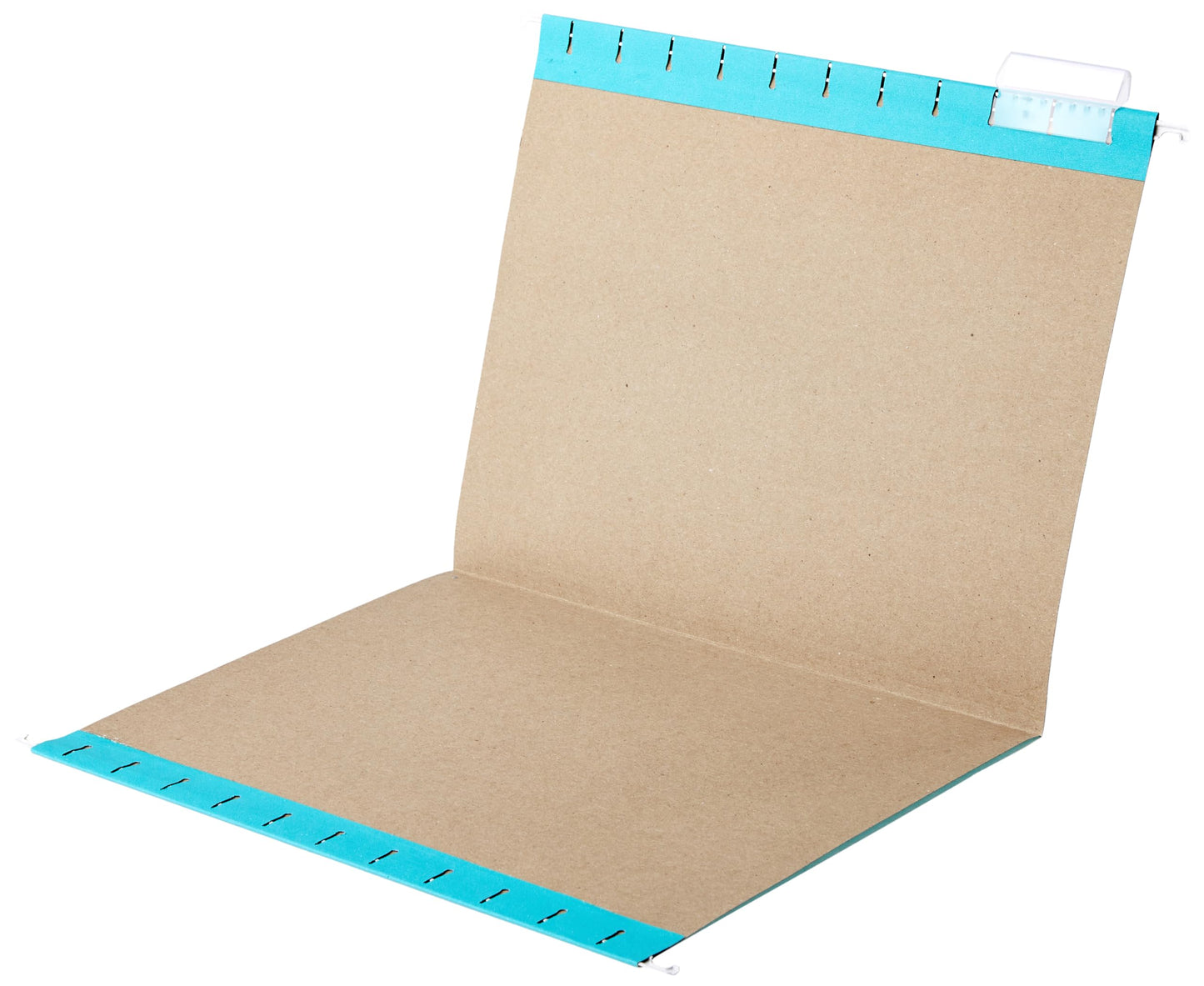 Amazon Basics Hanging File Folders, Letter Size, Bright Green, 25-Pack