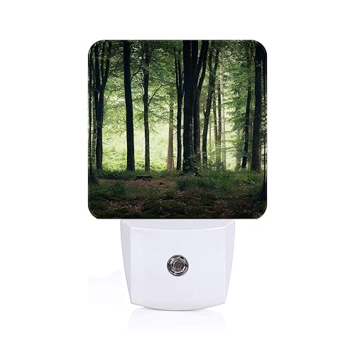 FSHVQKD Green Forest Night Light,Plug Into Wall with Dusk to Dawn Light Sensors, Warm Nightlights for Bedroom, Bathroom, Hallway, Kitchen, Gifts Ideal