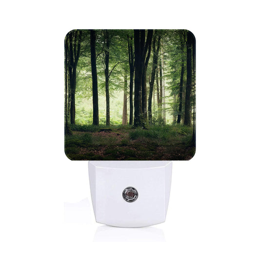 FSHVQKD Green Forest Night Light,Plug Into Wall with Dusk to Dawn Light Sensors, Warm Nightlights for Bedroom, Bathroom, Hallway, Kitchen, Gifts Ideal
