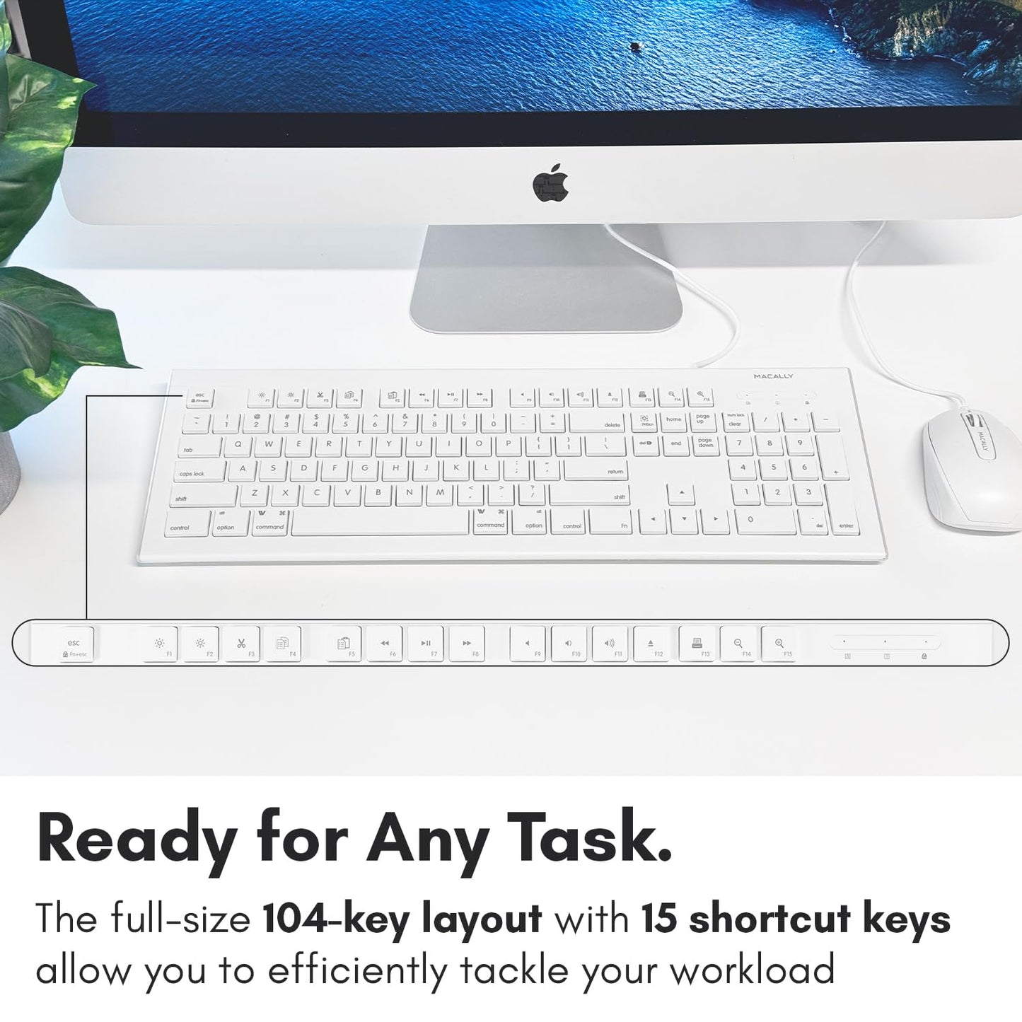 Macally 104 Key USB Wired Keyboard and Mouse Combo with Apple Shortcut Keys for Mac, iMac, Macbook, and Windows PC (MKEYECOMBO), White