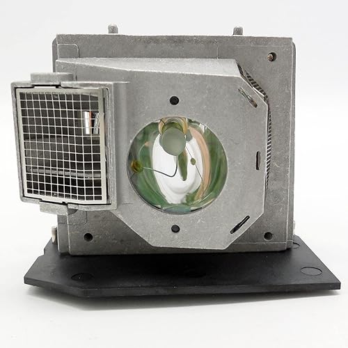 GOLDENRIVER SP.83C01G001 BL-FS300B Projector Replacement Lamp Compatible with EP1080 EP910 H81 HD7200 HD80 HD8000 HD8000-LV HD800X HD803 HD806 HD81