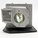 GOLDENRIVER SP.83C01G001 BL-FS300B Projector Replacement Lamp Compatible with EP1080 EP910 H81 HD7200 HD80 HD8000 HD8000-LV HD800X HD803 HD806 HD81