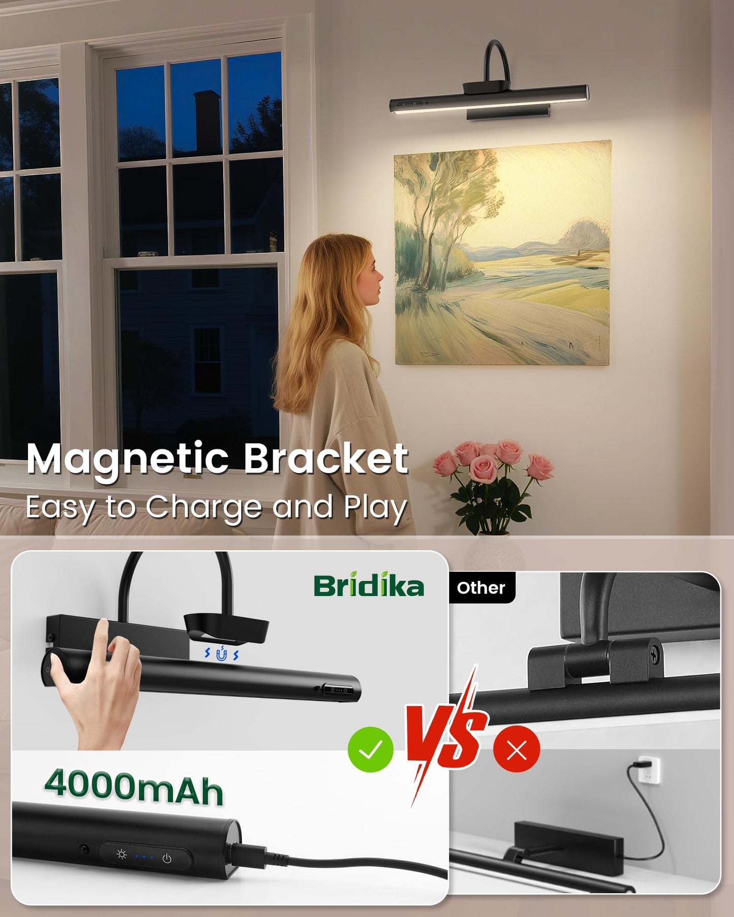 Bridika Picture Light Battery Operated, 19.7in Picture Lights for Wall, 3 Colors & Brightness Dimmable, Rechargeable Art Light for Paintings Photo