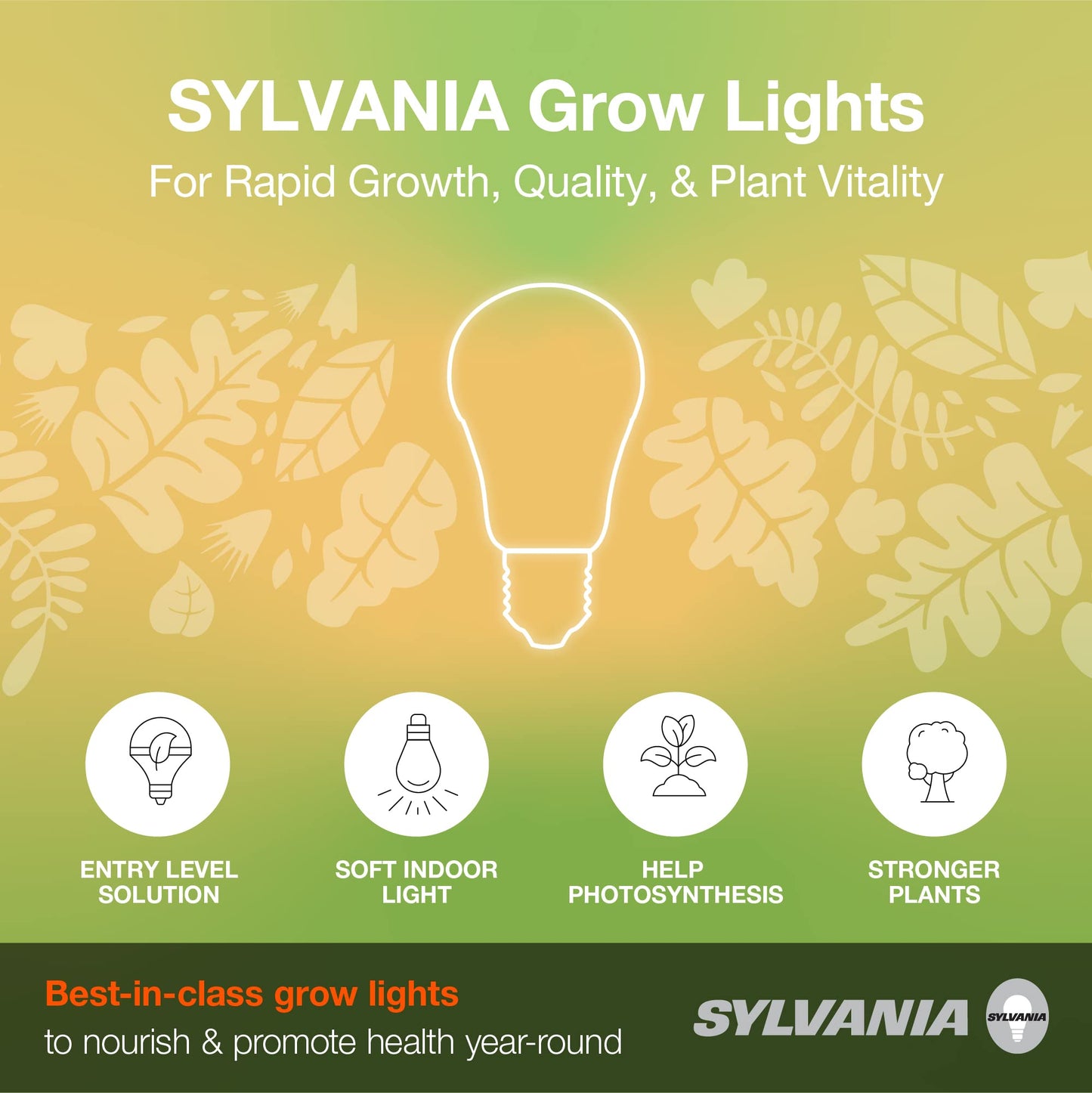 Sylvania Incandescent Spot-Gro 60W Grow Light Bulb, A19, Dimmable, 705 Lumens, Frosted, 2850K, Soft White - 1 Pack (12280)