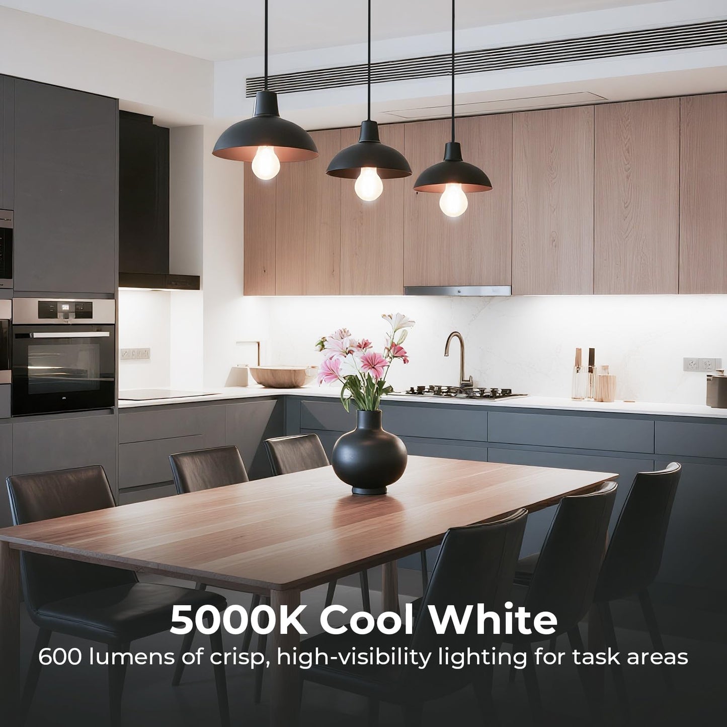A19 E26 LED Light Bulbs 60 Watt Equivalent, Dimmable Edison Bulbs 5000K
