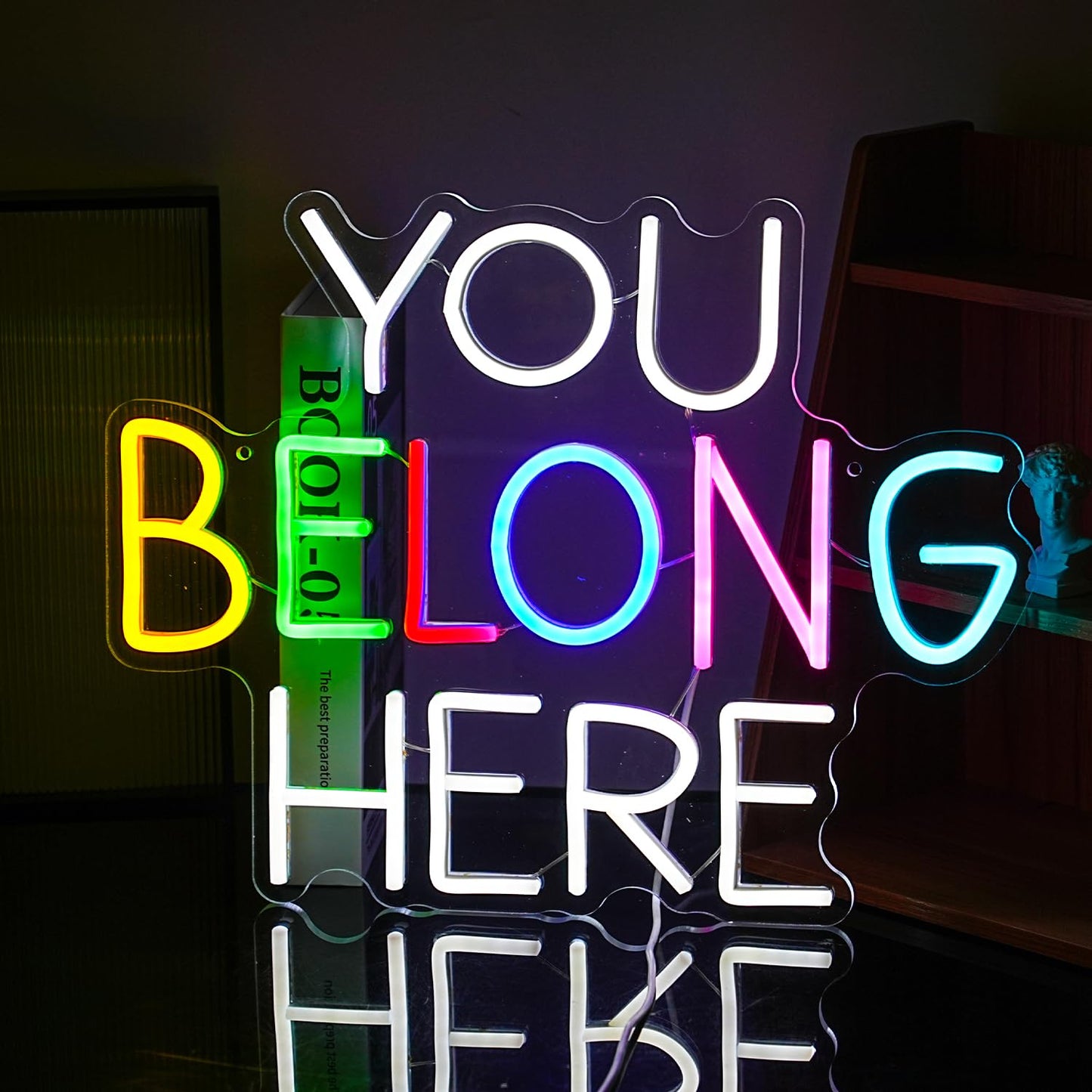 BNEMCEZH You Belong Here Neon Sign Dimmable Colourful LED Neon Light Sign for Wall Decor USB Powered Letters Neon Light for Bedroom Party Classroom
