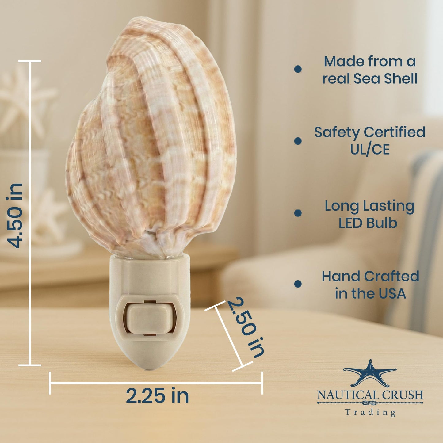 Nautical Crush Trading Seashell Night Light - Beach Night Light with Harpa Shell Light for Bathroom - Sea Shell Lamp - Seashell Lamp Plug Into Wall