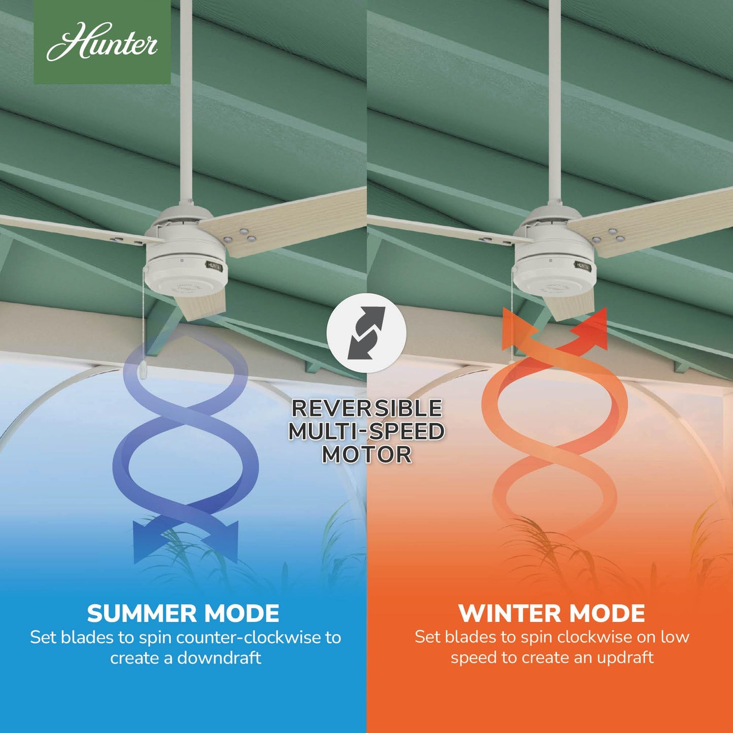 Hunter Cassius, Outdoor or Indoor, Ceiling Fan, 44 inch, Fresh White