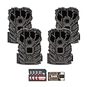 Stealth Cam Browtine 14MP Trail Camera (4-Pack) Bundle with 32GB Memory Card (4-Pack) and Card Reader (9 Items)