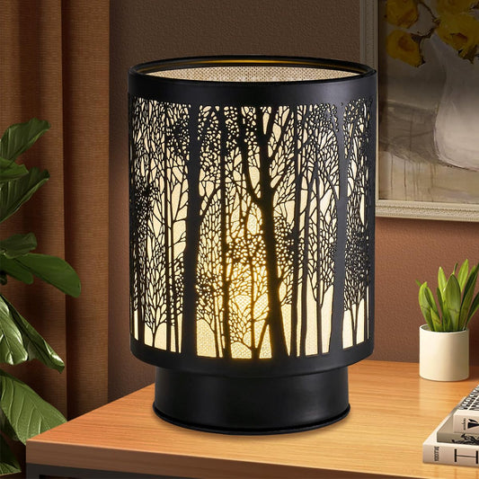 BOSAIDONG Battery Operated Lamp with Timer, Cordless Lamps for Power Outage, Decorative Small Accent Lamp for Area No Plug, Battery Powered for Living