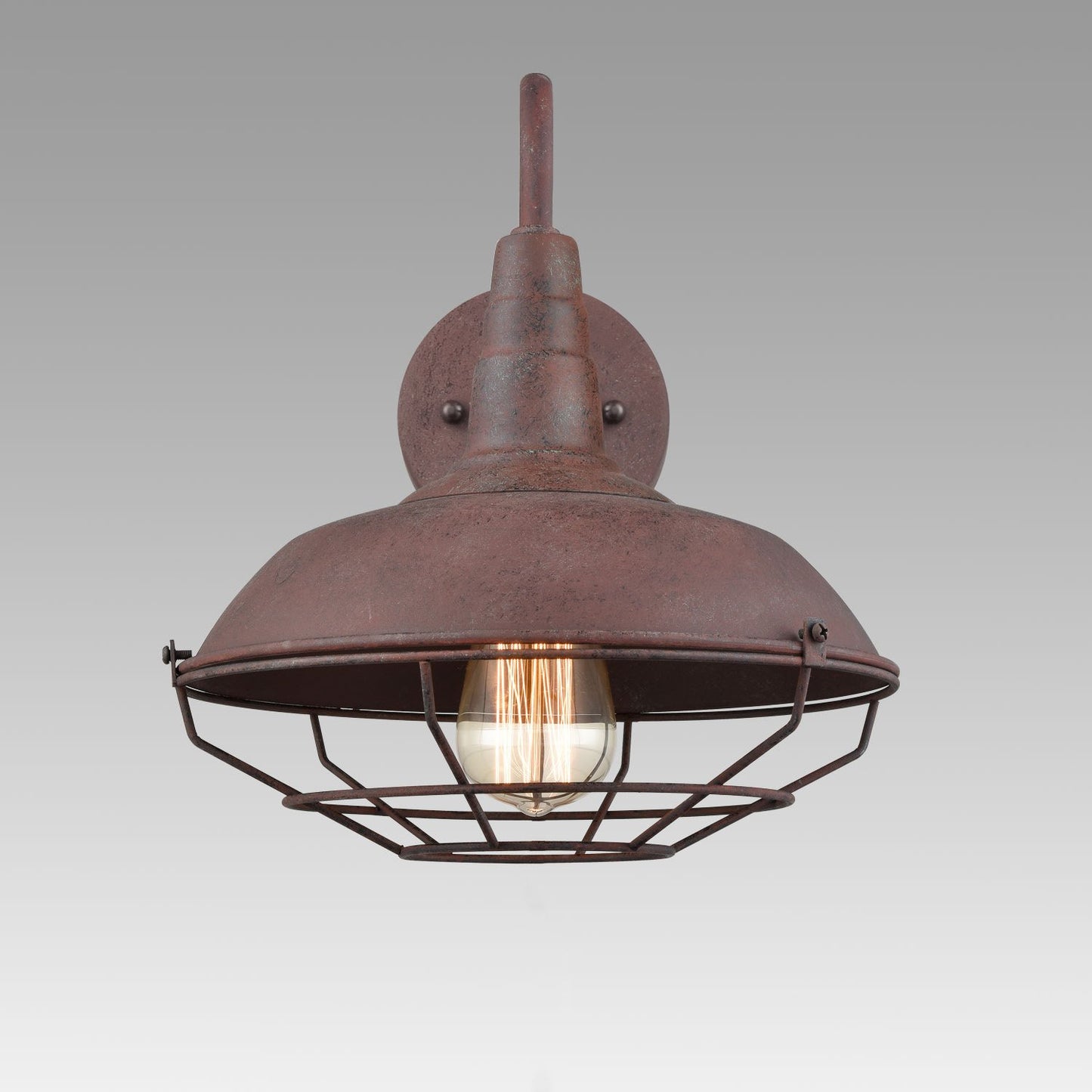 YUBOLE Plug-in Wall Sconce Rustic Cage Wall Light Gooseneck Hardwired Sconce Lighting for Bedroom Bar Basement