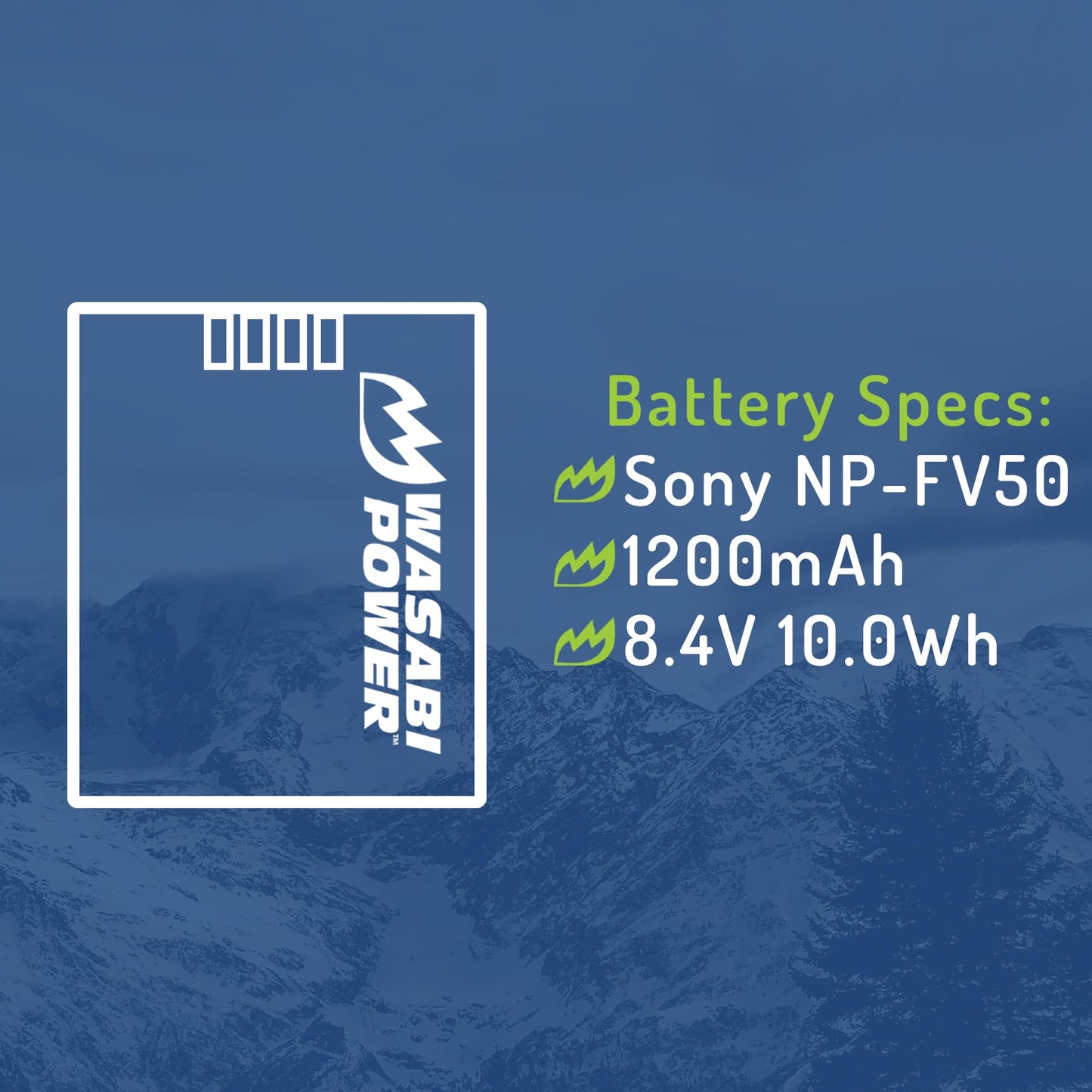 Wasabi Power Battery (2-Pack) and Charger for Sony NP-FV30, NP-FV40, NP-FV50 and Sony DCR-SR15, SR21, SR68, SR88, SX15, SX21, SX44, SX45, SX63, SX65