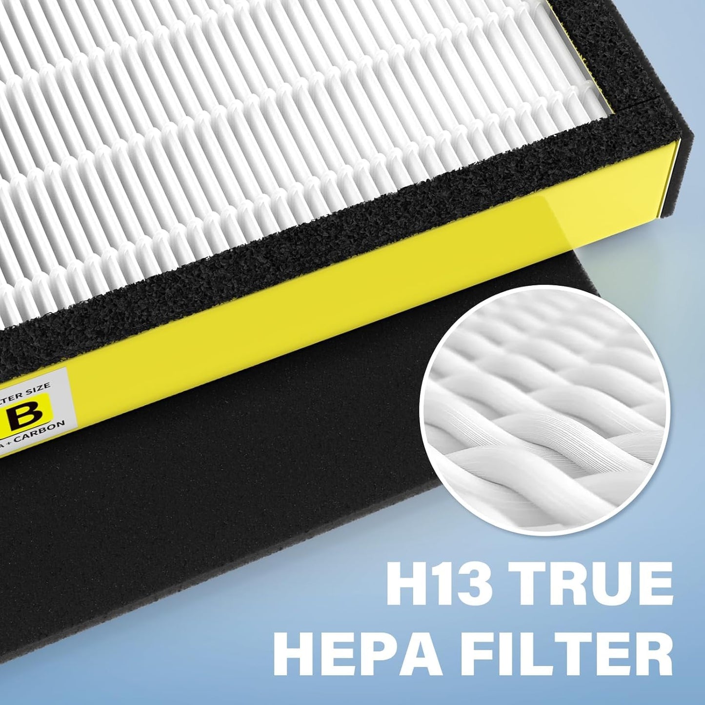 Air Purifier 2 Pack FLT4825 HEPA Replacement Filter B Compatible with AC4825 AC4825E AC4300 AC4800 AC4900 AC4850, 2 True HEPA Filters & 6 Activated