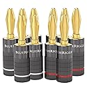 BlueRigger Banana Plugs 5 Pairs / 10 pcs (Closed Dual Screw) - 10 Pack Gold Plated Speaker Plugs Connector for Speaker Wire, Amplifier, Receiver