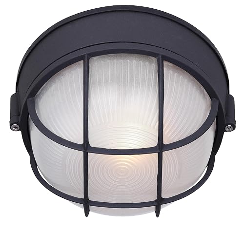 Canarm 1-Light Oudoor Lantern, Black Finish with Frosted Glass Shade, Durable Wet-Rated Outdoor Lighting for Porch, Patio and Outdoor Entryway