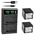 Kastar 2-Pack VW-VBN260 Battery and LTD2 USB Charger Replacement for Panasonic HDC-SD900, HDC-SD909, HDC-TM900, HDC-TM900GK, HDC-TM900GK-3D
