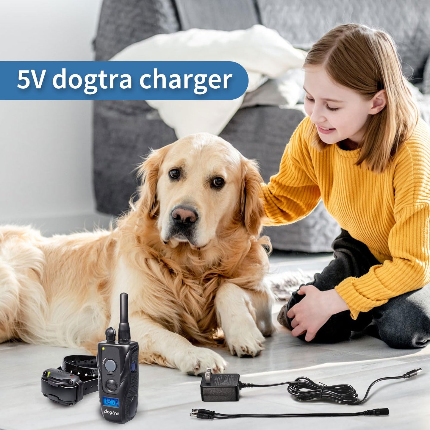 for iq Plus Power Supply is Compatible with YS300, YS600, EF-3000, 280C, 282C, 200C, and 202C. dogtra Charger with the Dogtra 5-5 Splitter Cable.