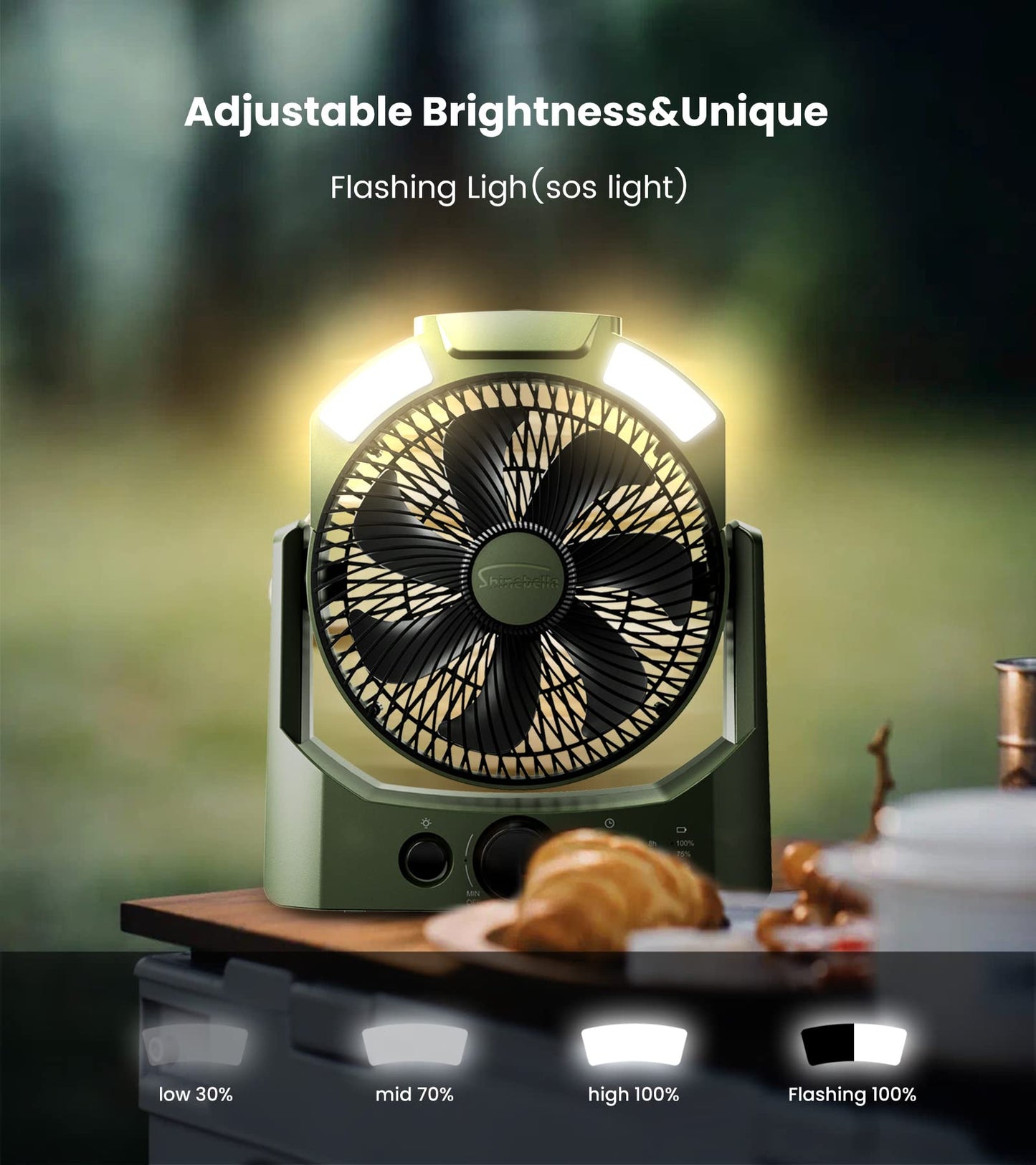 D Battery Powered Camping Fan (Batteries Not Included) with 4 Timer Modes, 8.5’’ Desk Fan with LED Lantern and SOS Light, 180° Rotation, Quiet