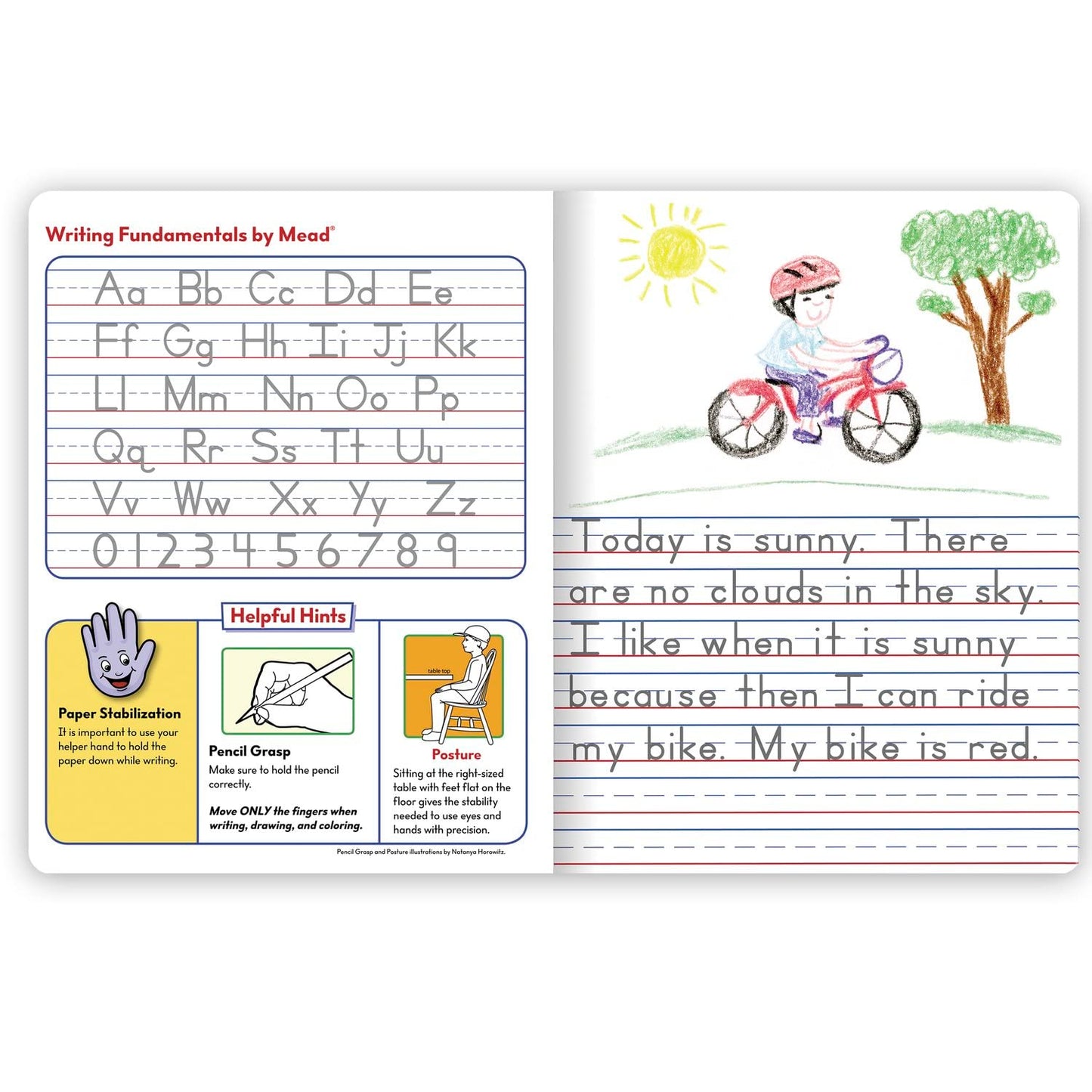 Mead Primary Composition Book, Primary Ruled Journal, Grades K-2, 7-1/2" x 9-3/4", 100 Sheets per Comp Book, Colors Will Vary, 12 Pack (610054-ECM)