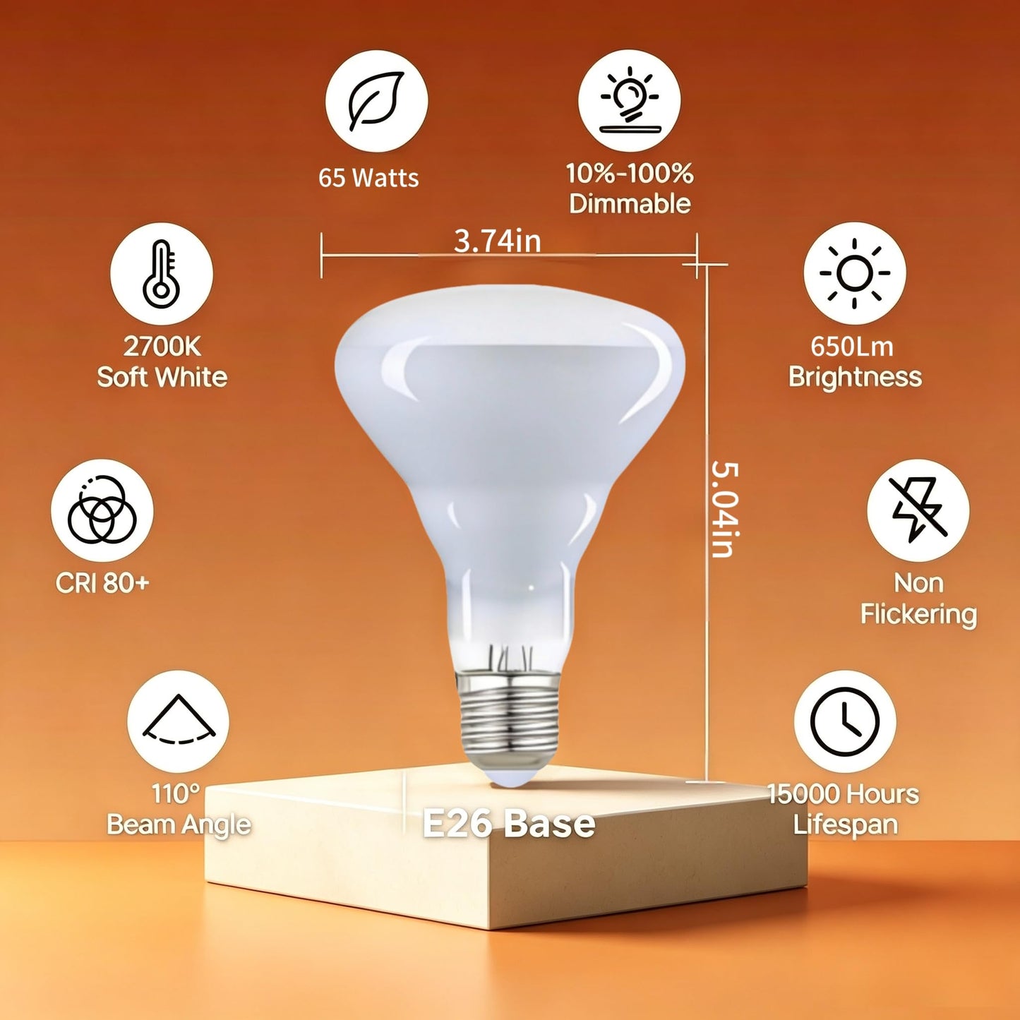 FMLAD BR30 65W Flood Incandescent Light Bulbs E26 Base - 6 Pack