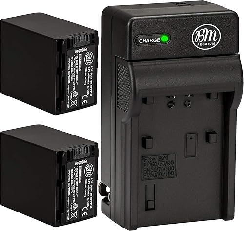 BM 2-Pack of NP-FV100 Batteries and Charger for Sony HDR-CX455 CX675 CX260 CX290 CX330 CX380 CX430V CX580V CX760V CX900 PJ430V PJ540 PJ580V PJ650V