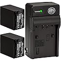 BM 2-Pack of NP-FV100 Batteries and Charger for Sony HDR-CX455 CX675 CX260 CX290 CX330 CX380 CX430V CX580V CX760V CX900 PJ430V PJ540 PJ580V PJ650V