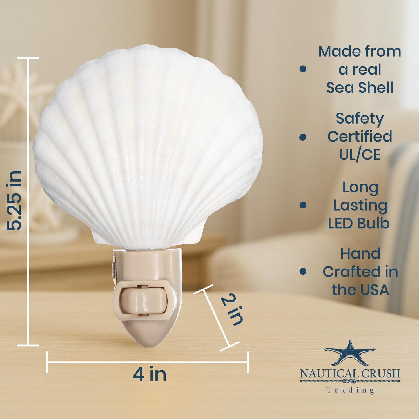 Nautical Crush Trading Seashell Night Light - Beach Night Light with White Clam - Shell Light for Bathroom - Sea Shell Lamp - Seashell Lamp Plug Into