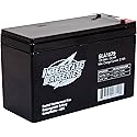 Interstate Batteries 12V 8Ah Battery (SLA1079) Rechargeable SLA, AGM Replacement Battery for UPS Backup Power Systems, APC Smart-UPS Series, Alpha…