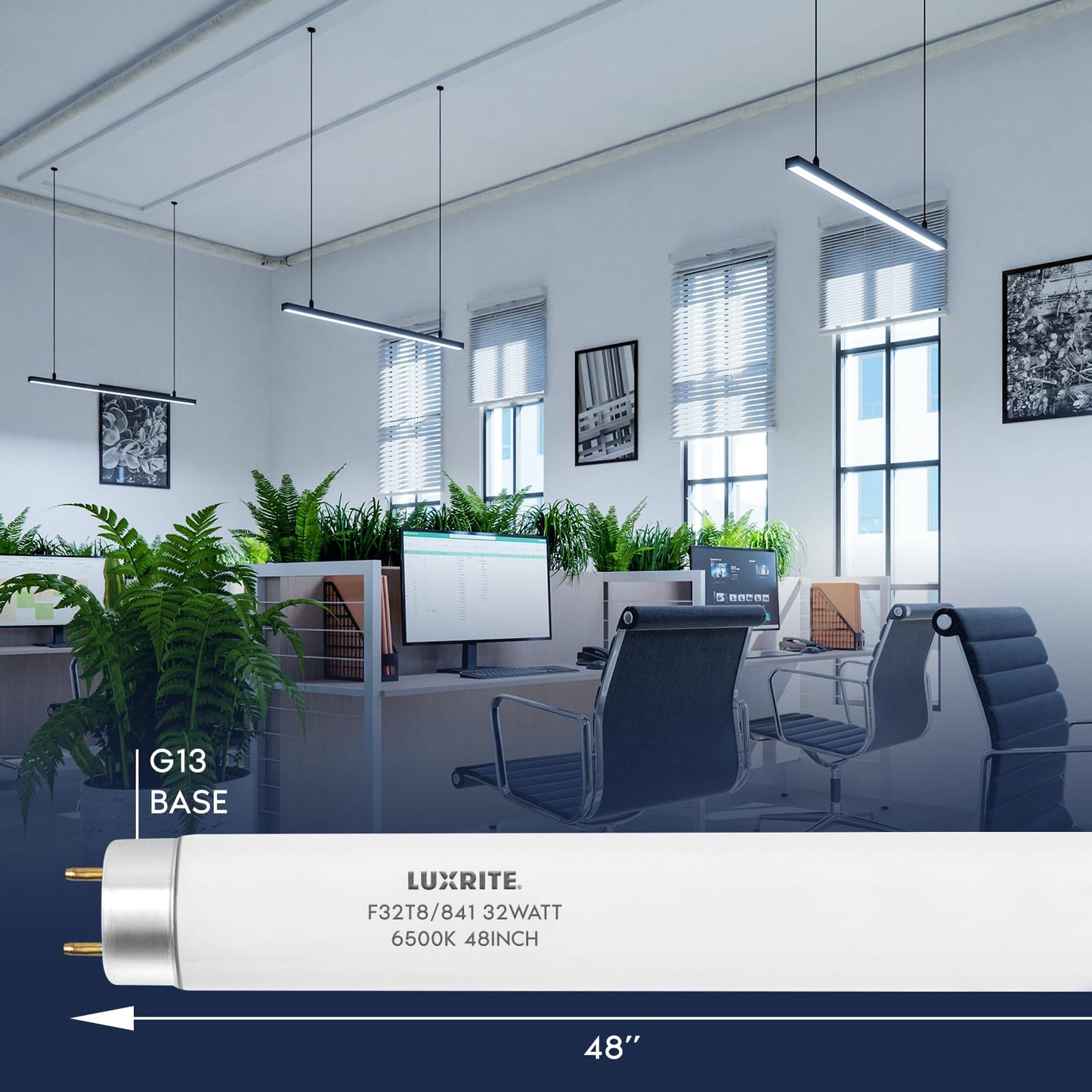 LUXRITE F32T8/865 32W 48 Inch T8 Fluorescent Tube Light Bulb, 6500K Daylight, 2800 Lumens, G13 Medium Bi-Pin Base, LR20735, 4-Pack