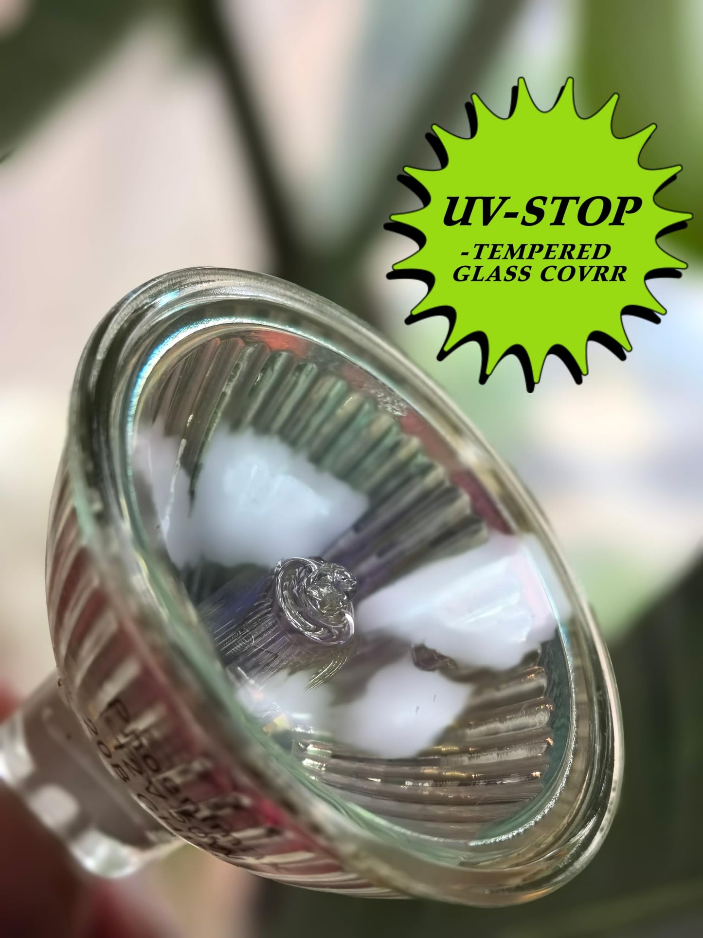 Phoenimax 6PCs MR16 12V 50W EXN High Output 800LM Halogen Bulb GU5.3 Pin Base, 2-Inch 38° Beam Angle, UV Stop Tempered Glass Cover, Dimmable Spot
