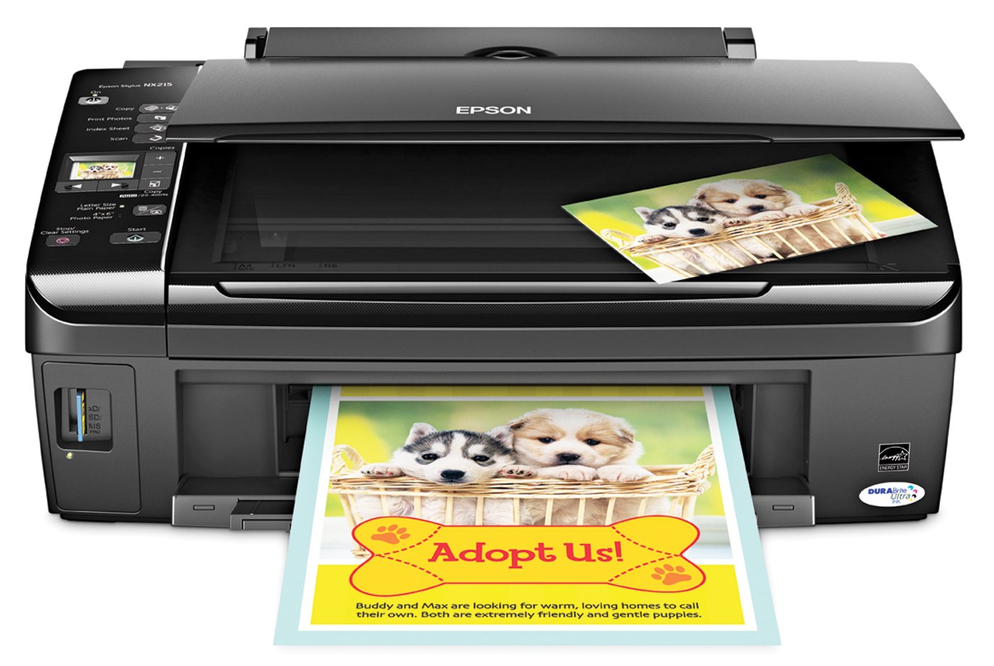 Epson Stylus NX215 Color Inkjet All-in-One Printer (C11CA47231)