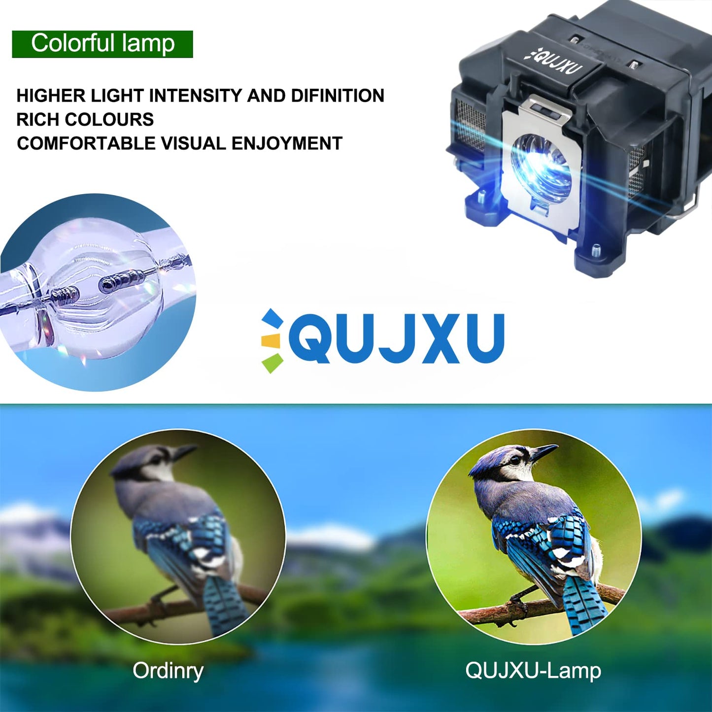 QUJXU ELPLP67 Replacement Projector Lamp for Epson V13H010L67 Home Cinema 500 707 710HD 750HD EX5210 EX7210 EX3210 EX3212 VS210 VS220 X12 W12 S12
